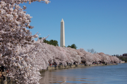 Washington D.C.