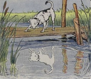 Dog river Bone