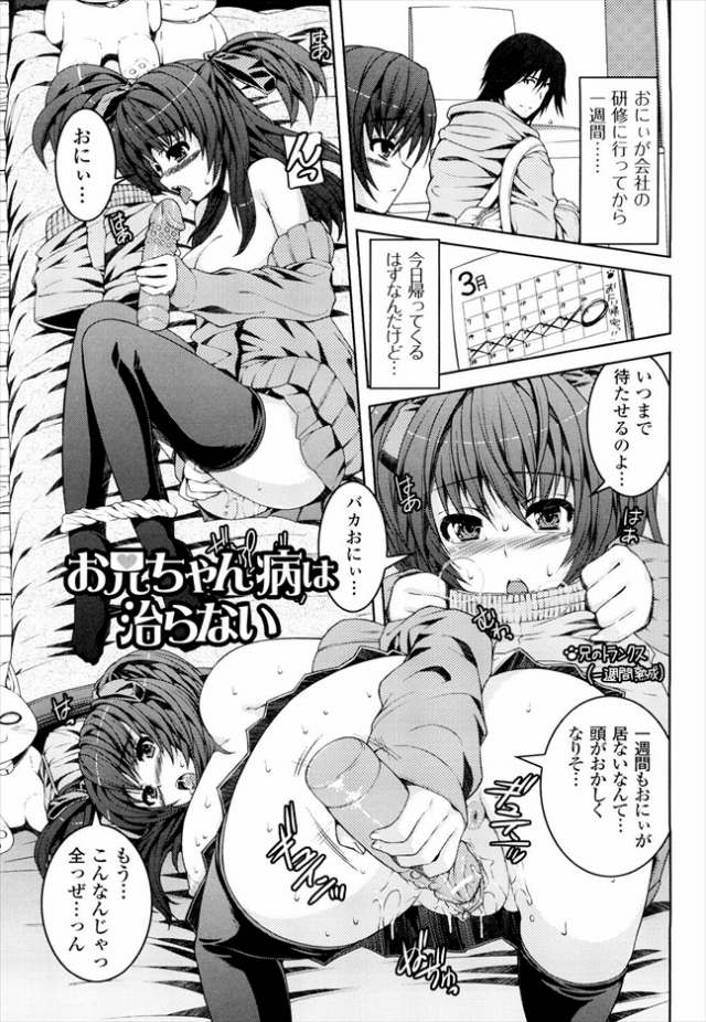 201604/o/onichanbyouhanaoranai