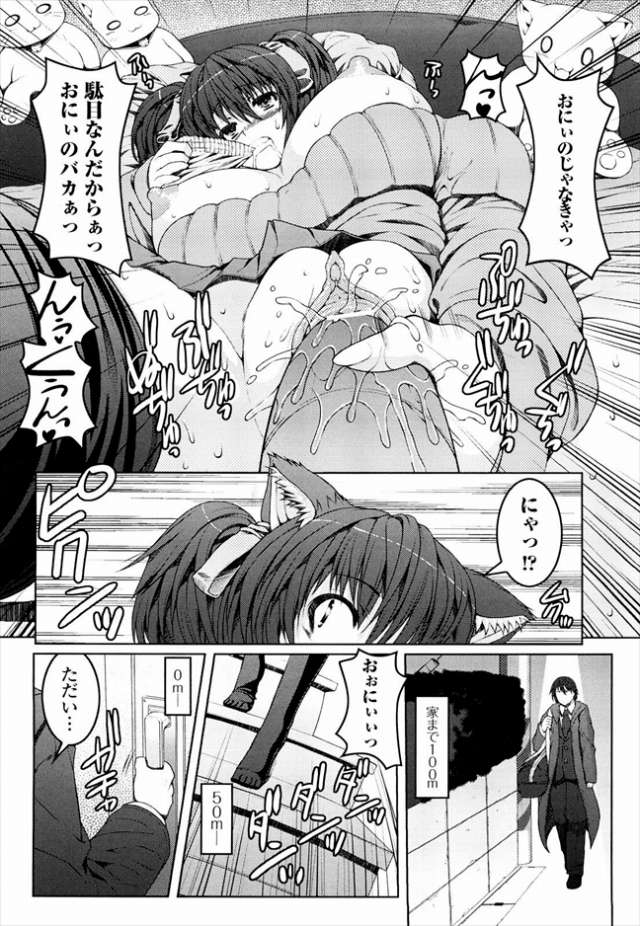 201604/o/onichanbyouhanaoranai