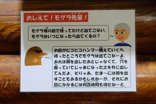 201607/headline