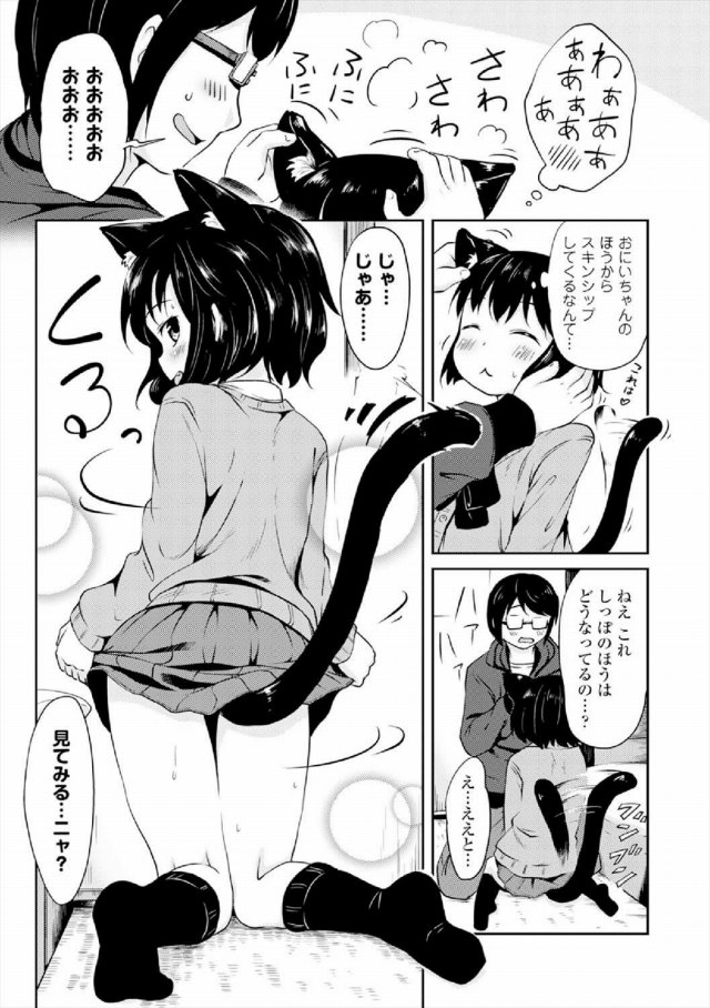 201607/t/tamachan