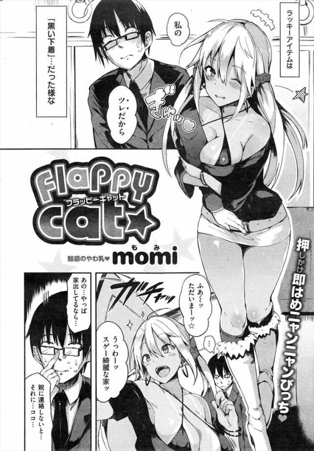 201609/f/flappycat
