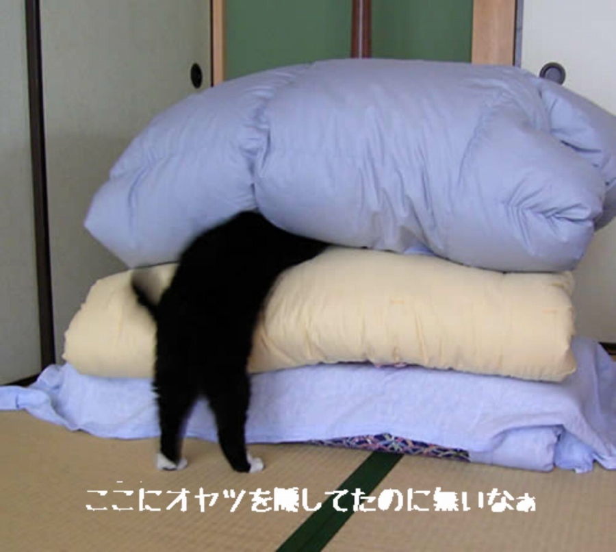 806