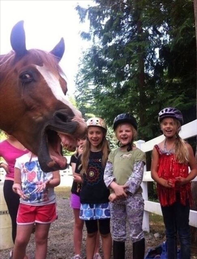 1053