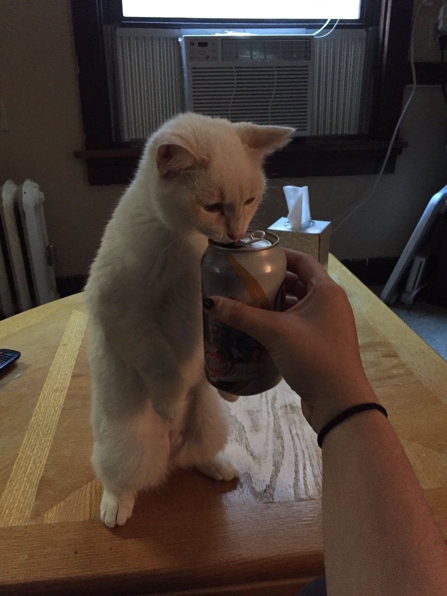 1200