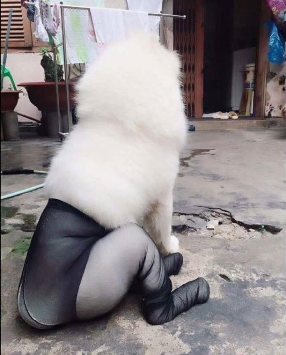 720