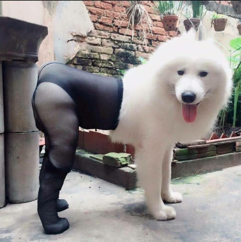 771