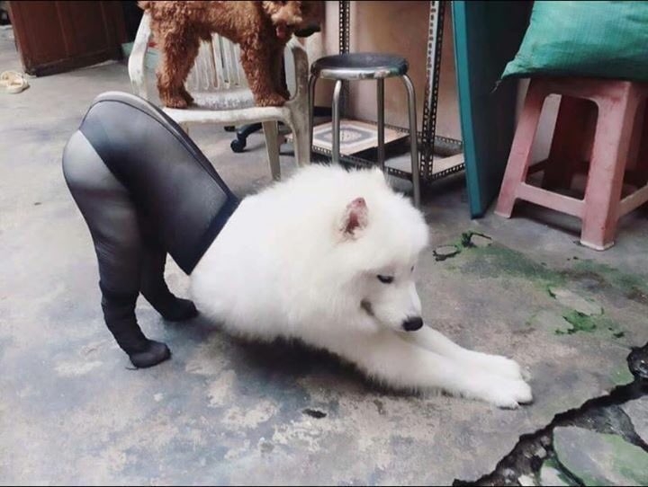 542