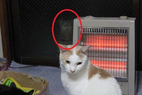 334