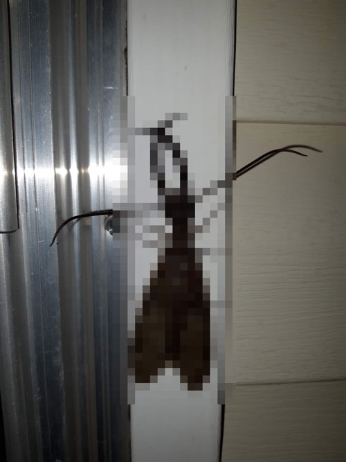 asdasda.jpg