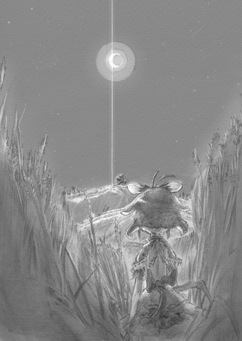 07