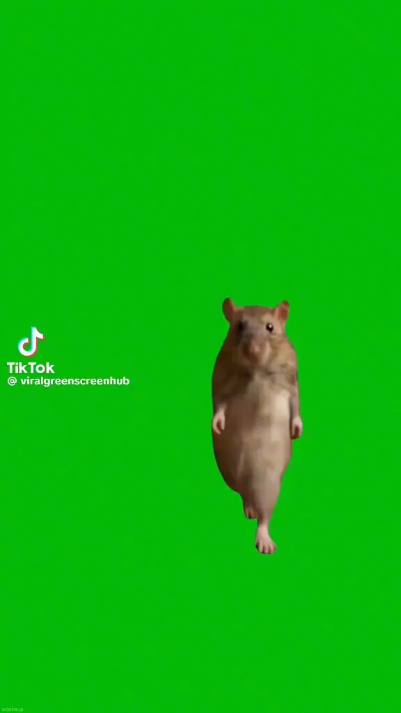 Rat 🎀@ichewthingsのXエロ動画 00:31