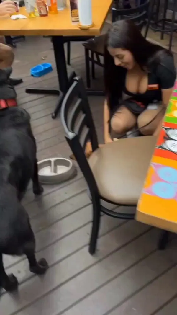 Fun Viral Vids 😊@Fun_Viral_VidsのXエロ動画 00:12