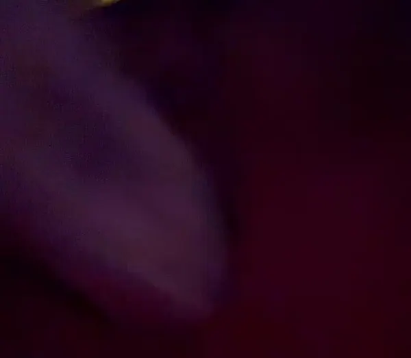 i@iiil_jilyxoのXエロ動画 01:50