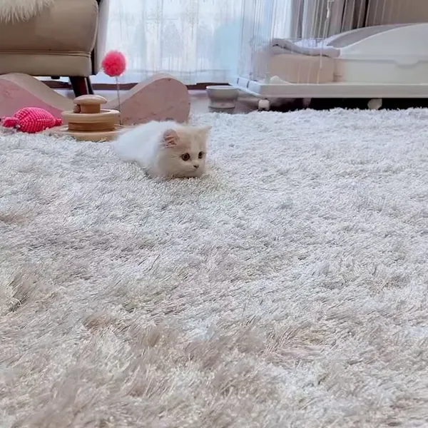 Xエロ動画